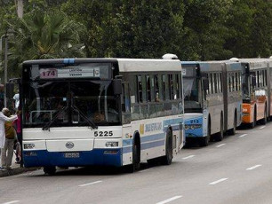 Lanzan la APK de ómnibus urbanos de La Habana.